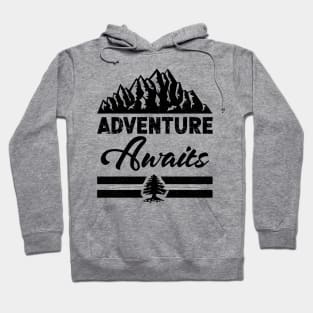 Adventure Awaits Hoodie